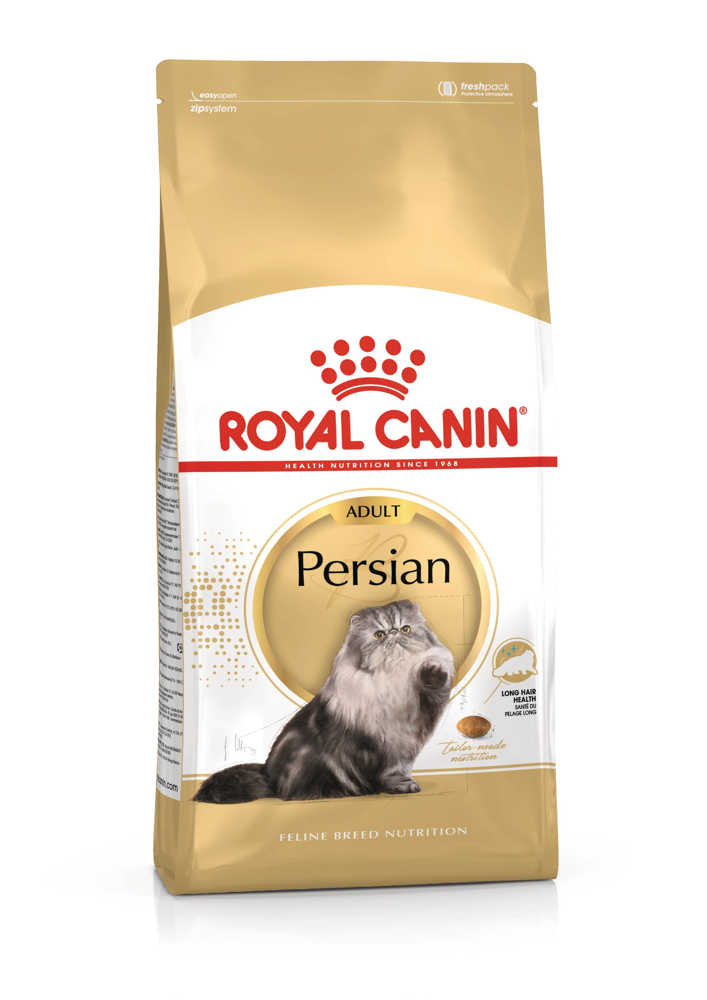 Persian Adulto