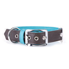 Brown and Turquoise Hermitage Collar in Genuine Leather