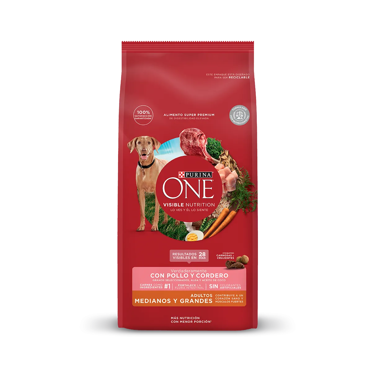 Purina One® pollo y cordero perro adulto mediano y grande