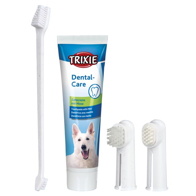 Dental Hygiene Set