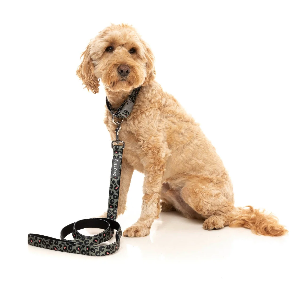 Savanna - Dog Collar