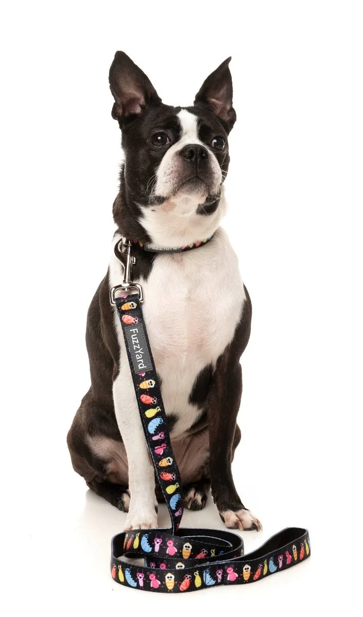 Bed Bugs - Dog Collar