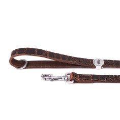 Brown Tucson Correa en Genuine Leather