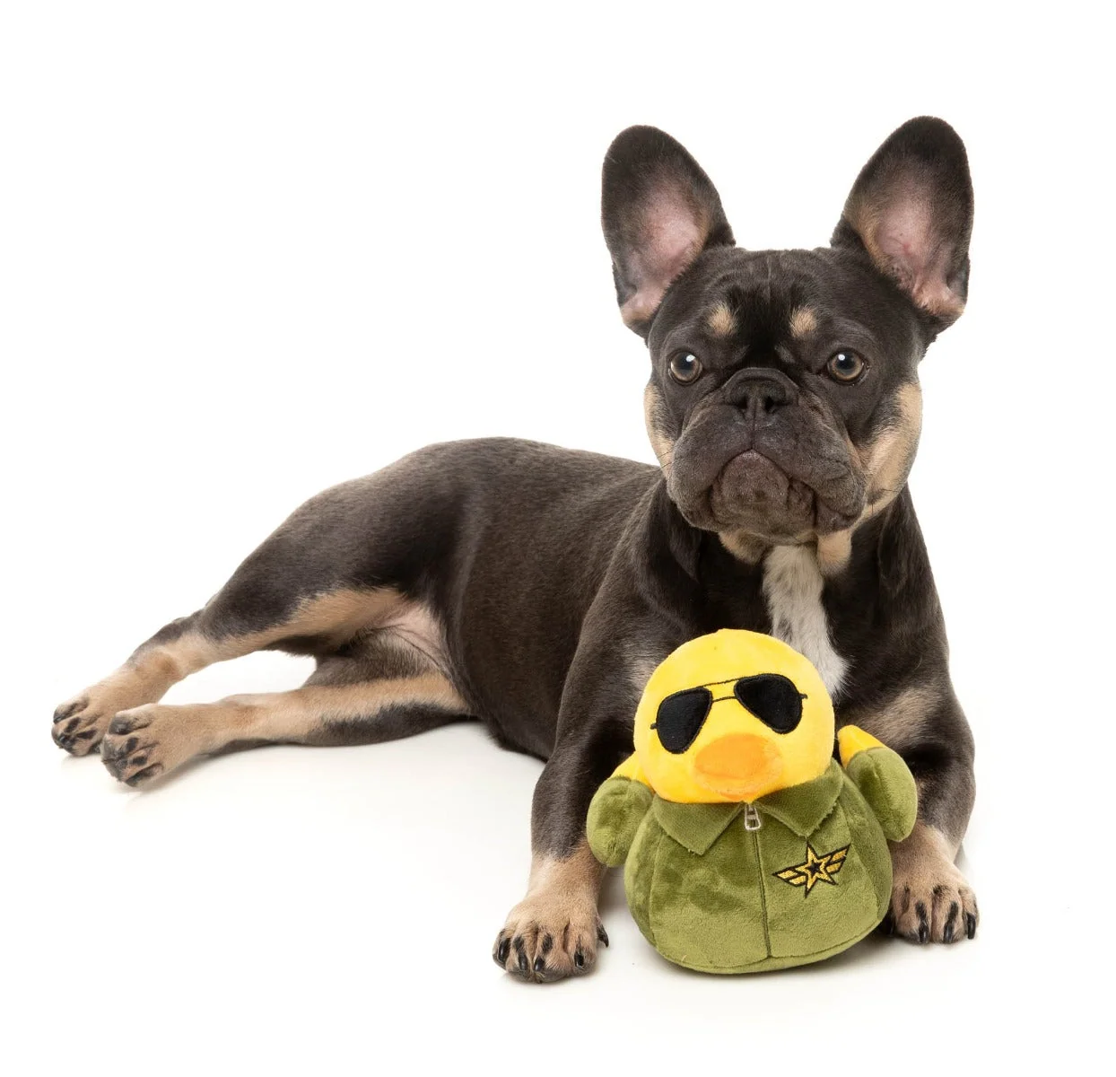 Goose - Dog Toy