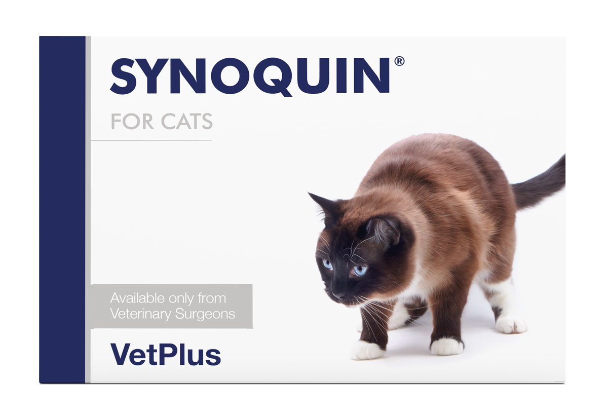 SYNOQUIN® FOR CATS
