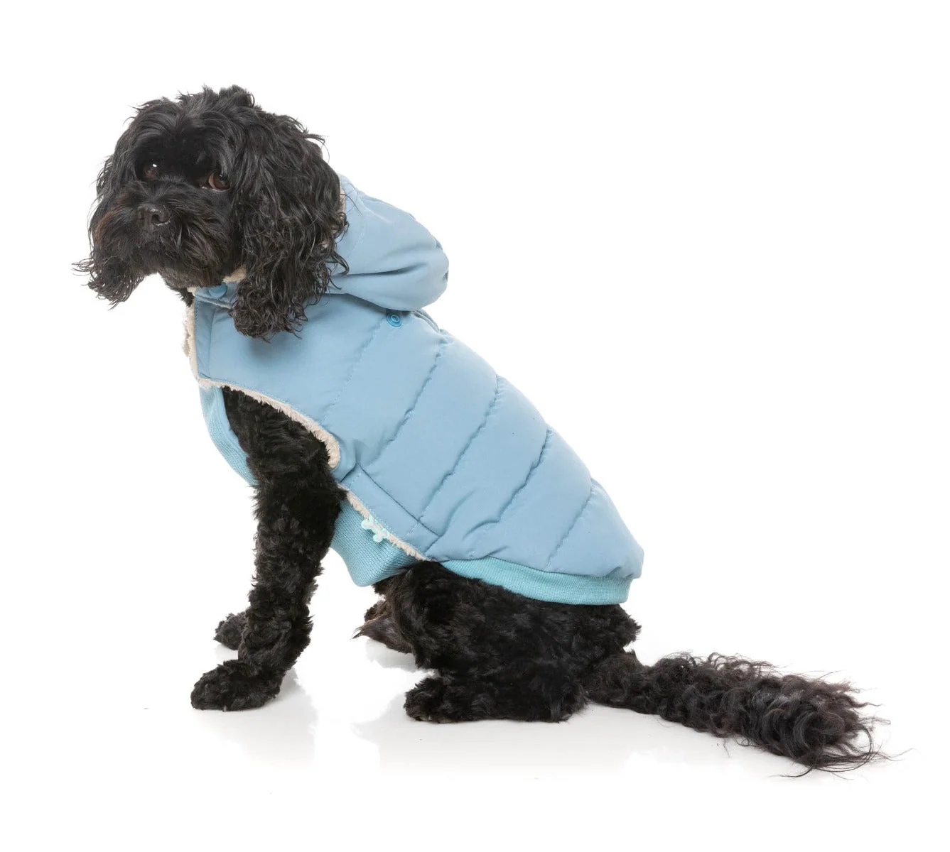 Essential Puffer Jacket - Blue