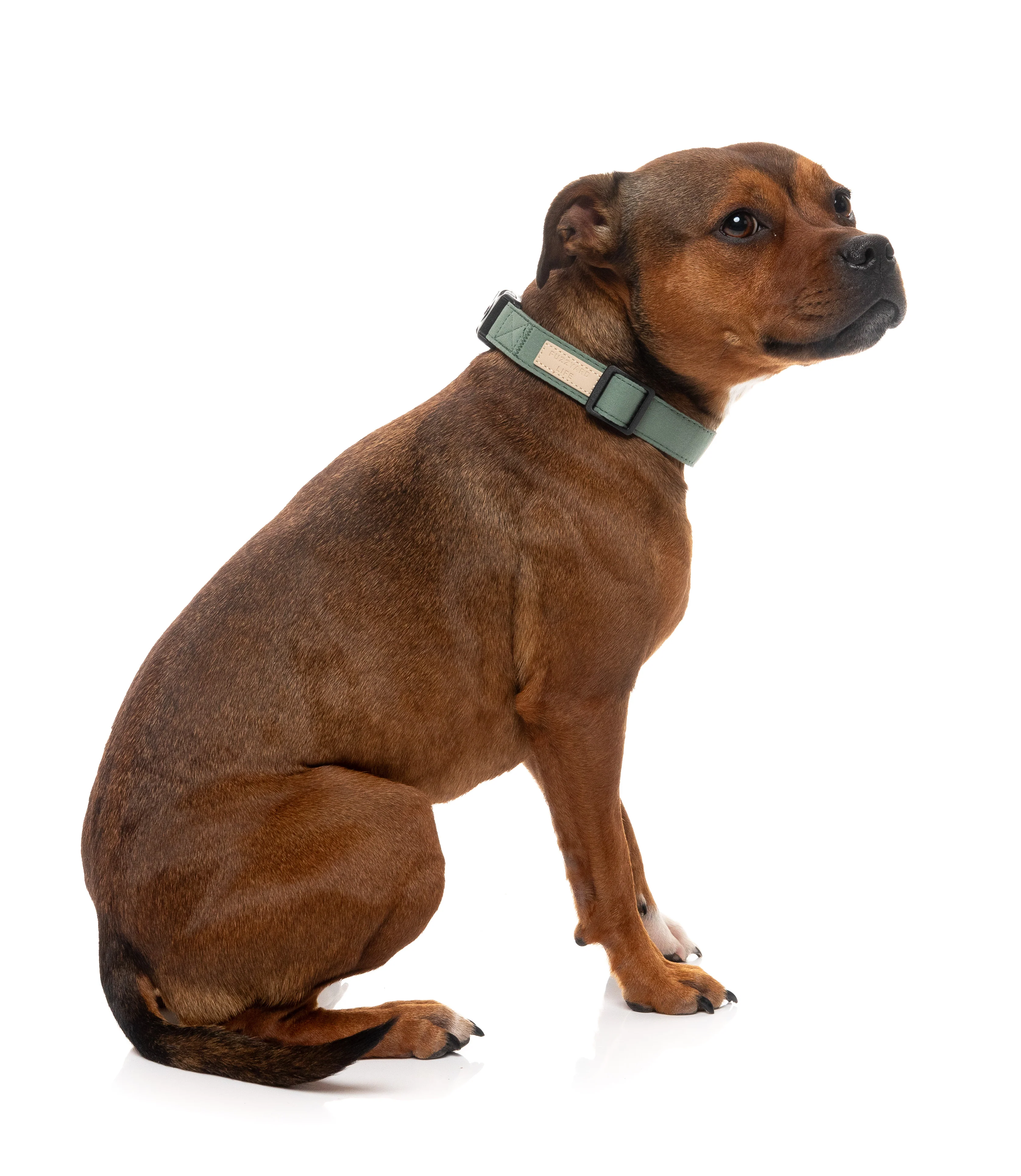 FuzzYard Life Dog Collar - Myrtle Green - Extra Small