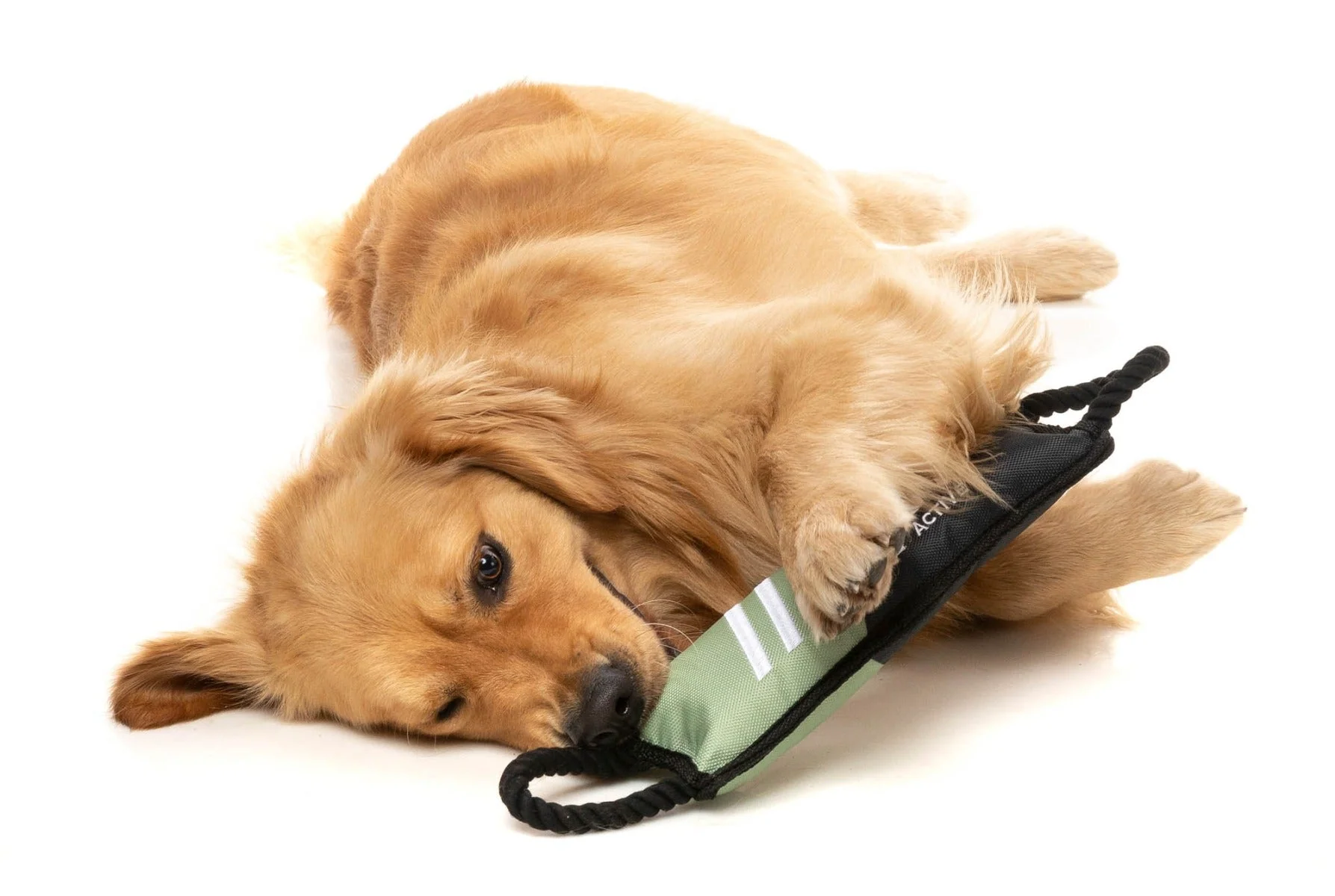 FY Active Rope Tug Dog Toy - Khaki