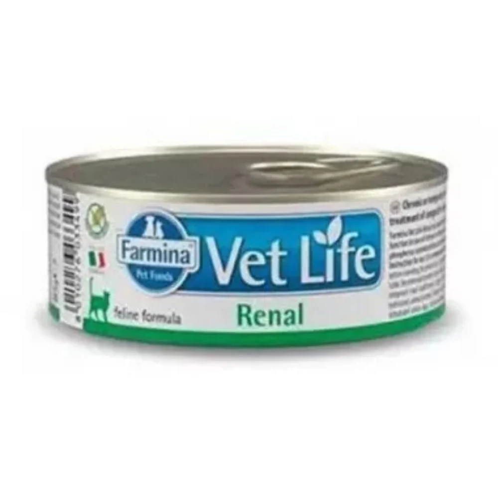 Renal feline