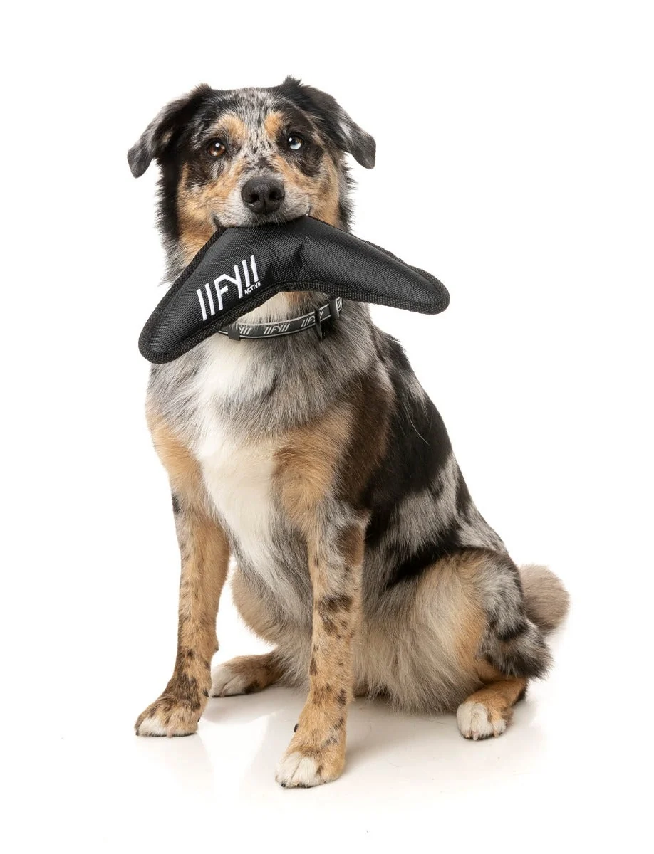 FY Active Flyer Dog Toy - Black
