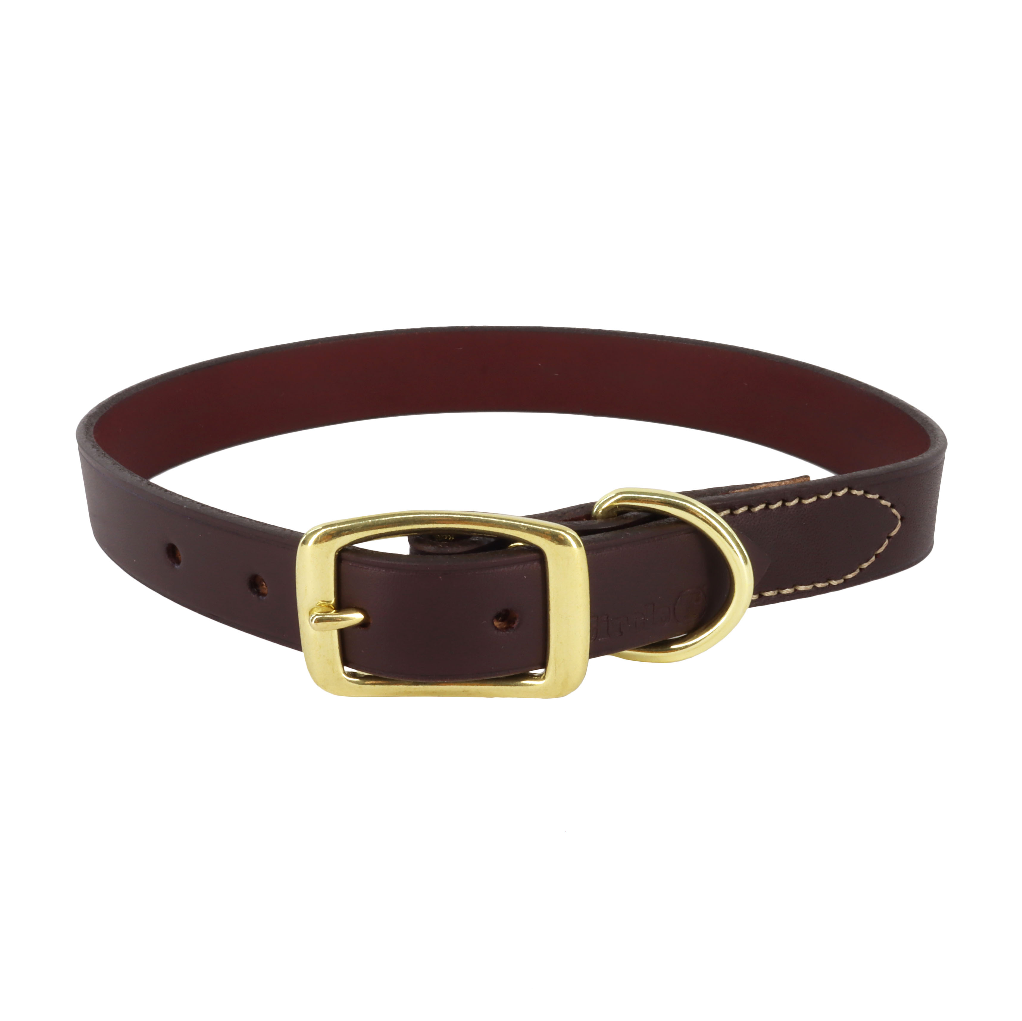 Circle T Latigo Leather Town Dog Collar with Brass Hardware