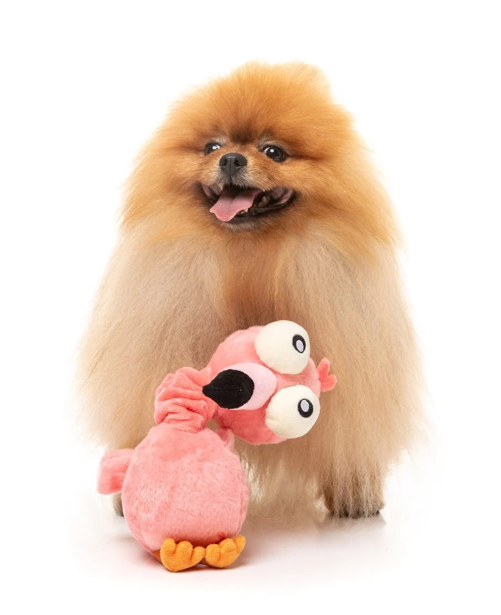 Neck Minnits - Neckole The Flamingo