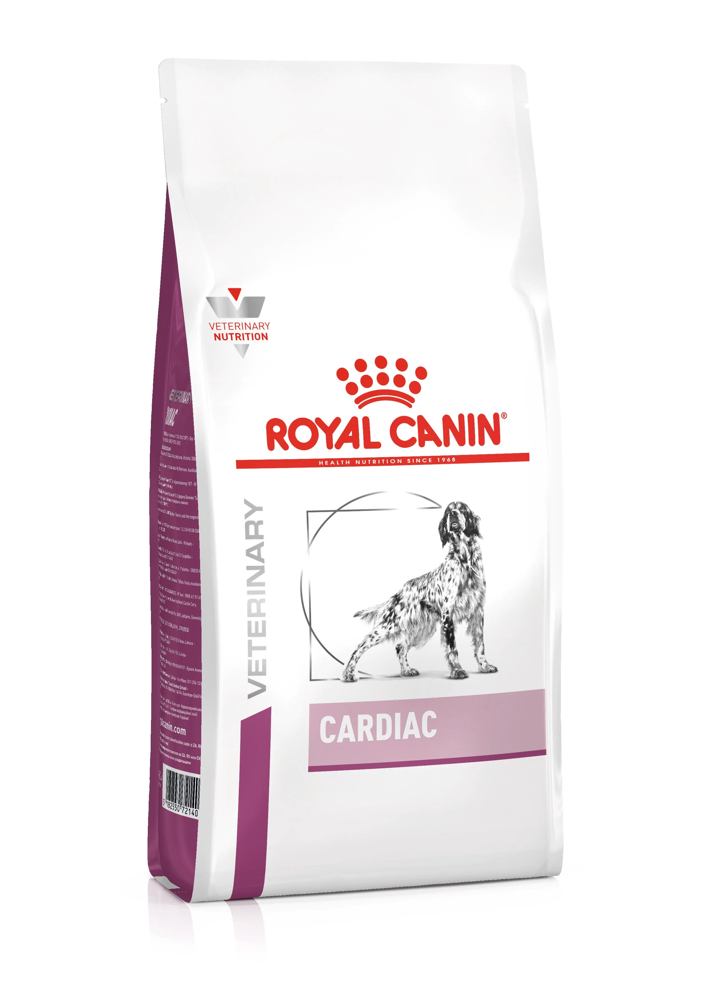 Cardiac Canine