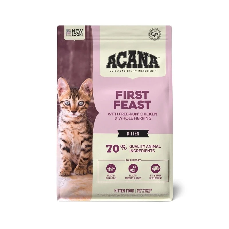 First Feast Kitten