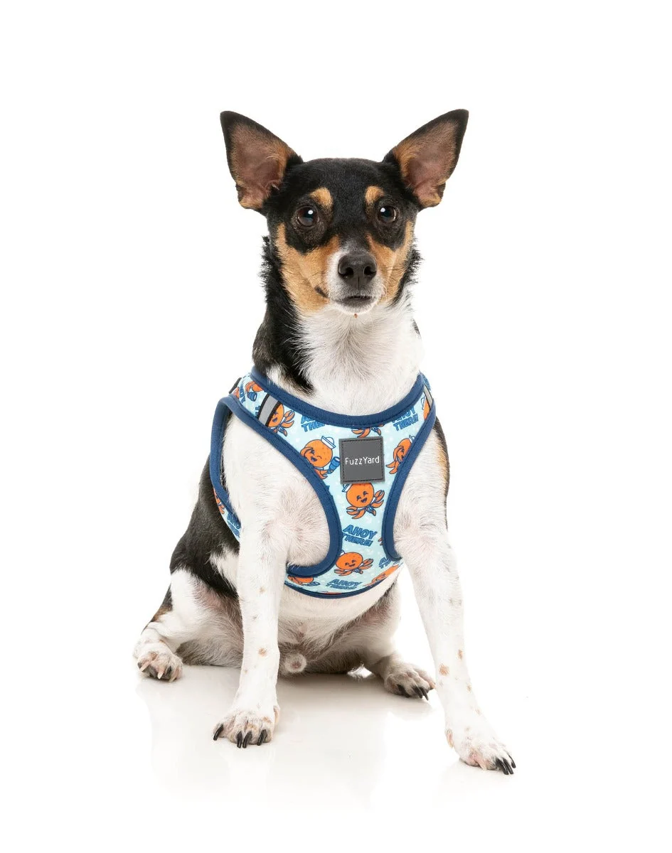 Ahoy There! - Step In Harness