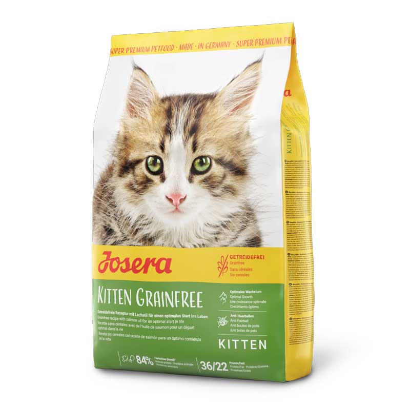 Gatito Libre de Granos OCTUBRE