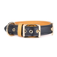 Black and Ochre Hermitage Collar in Genuine Leather