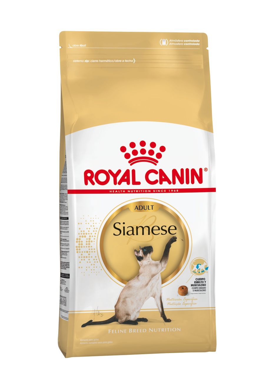 Siamese adult