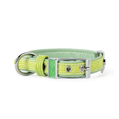Apple Green Saint Tropez Collar in Synthetic Fiber