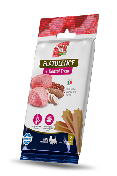 dental treat Flatulence mini