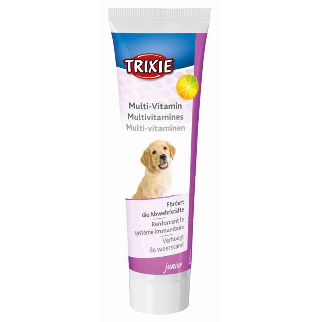 Multi-vitamin paste