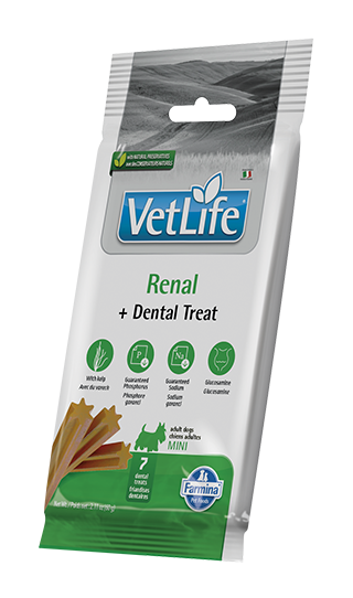 dental treat Renal mini