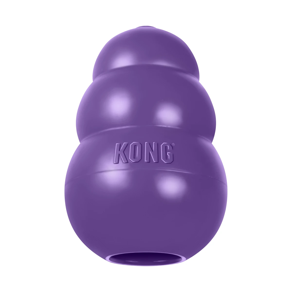 KONG Senior