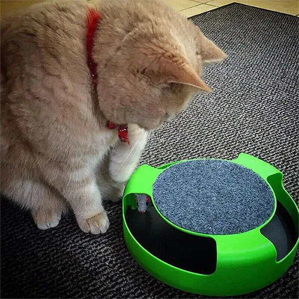 BRINQUEDO INTERATIVO PARA GATOS