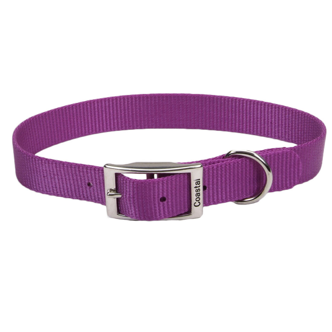 Coastal Single-Ply Dog Collar