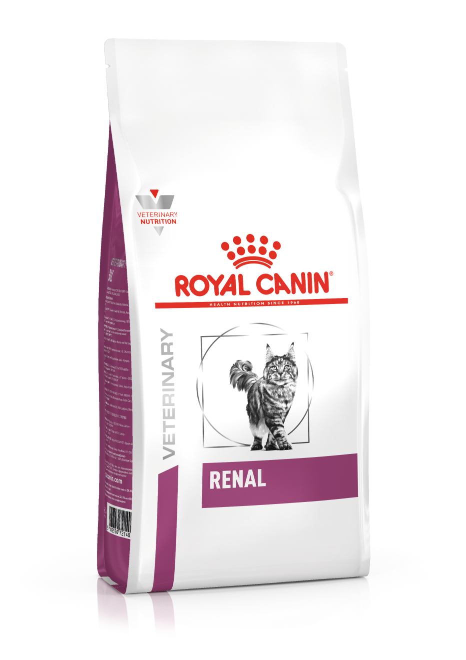 Renal Felino