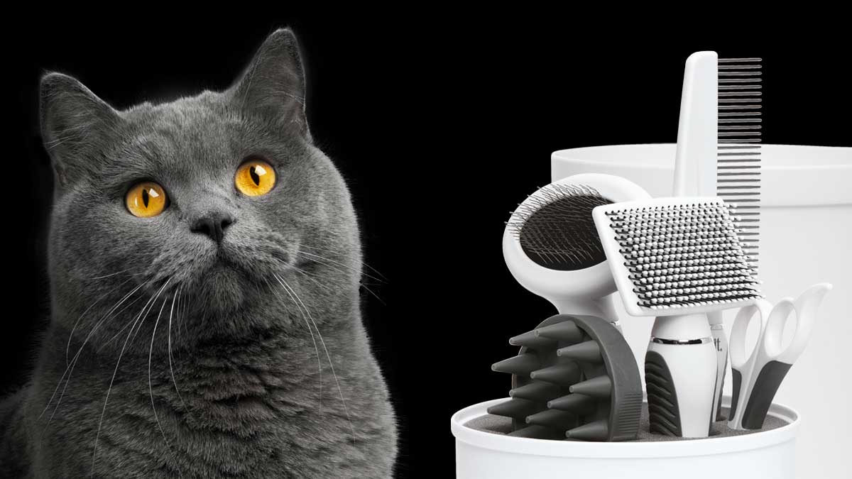 Shorthair Grooming Kit