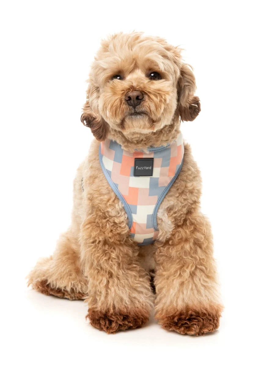 Yazd - Dog Harness