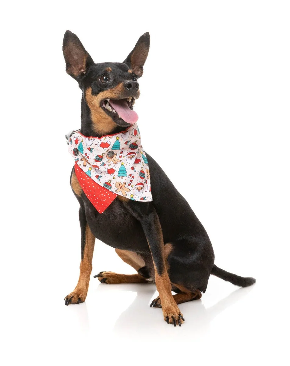 Tinsel Time - Dog 2 Pack