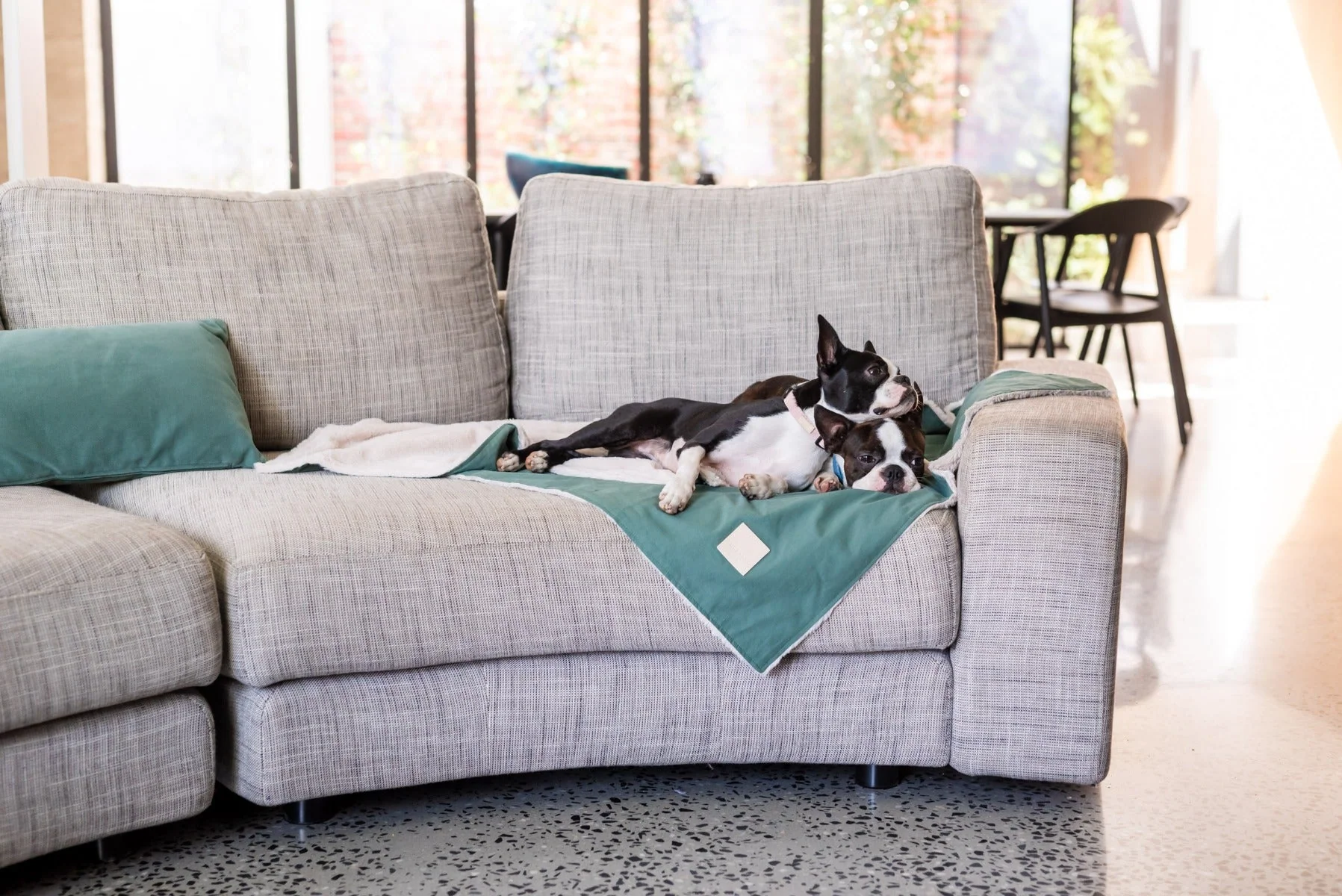FuzzYard Life Pet Blanket - Myrtle Green