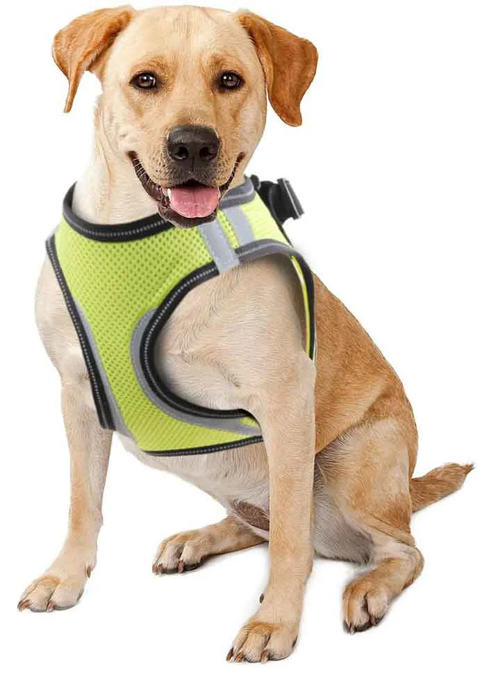 PEITORAL DE SEGURANÇA P/ CÃES M