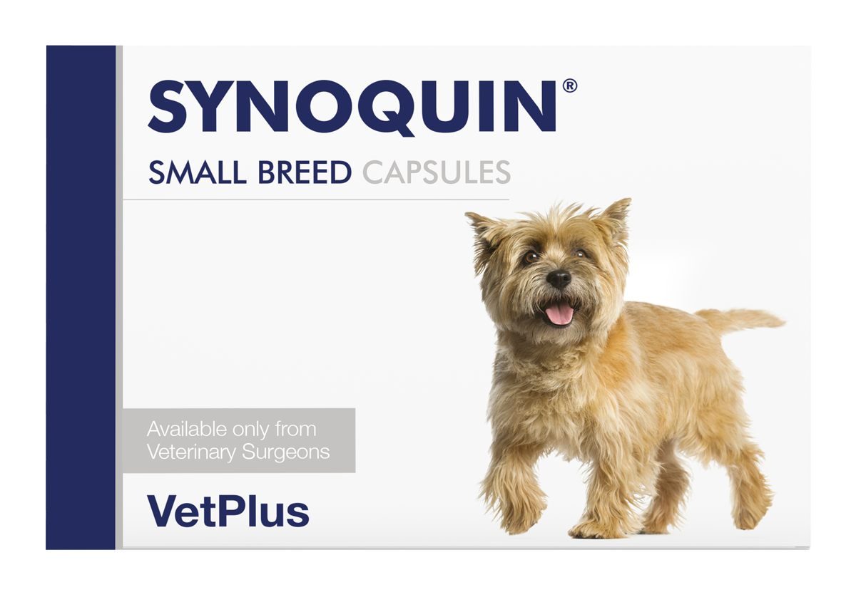 SYNOQUIN® SMALL BREED CAPSULES
