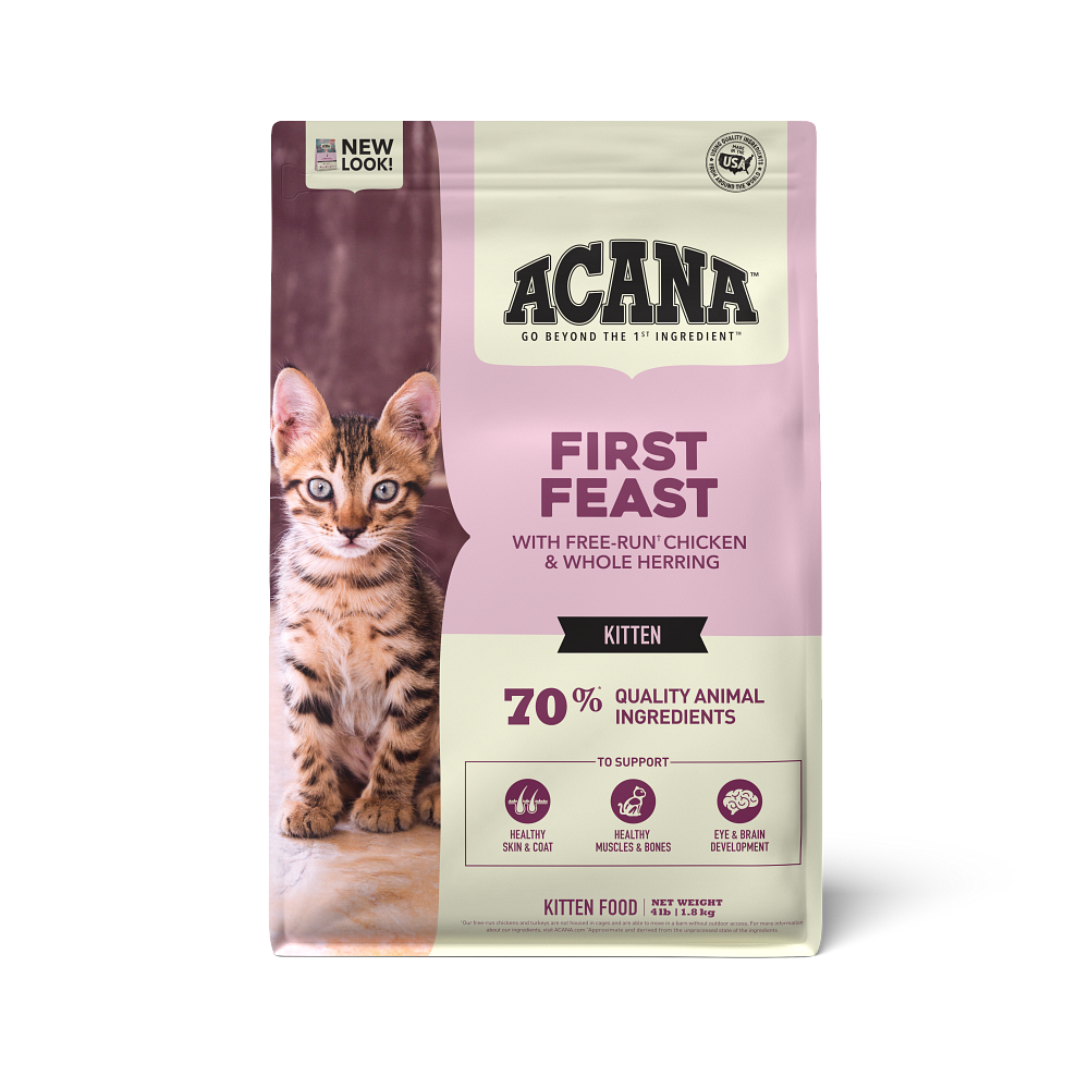 First Feast Kitten