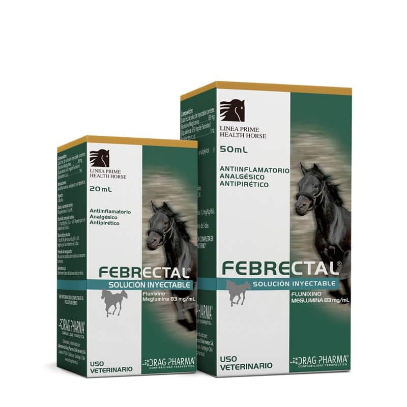 Febrectal® Equino