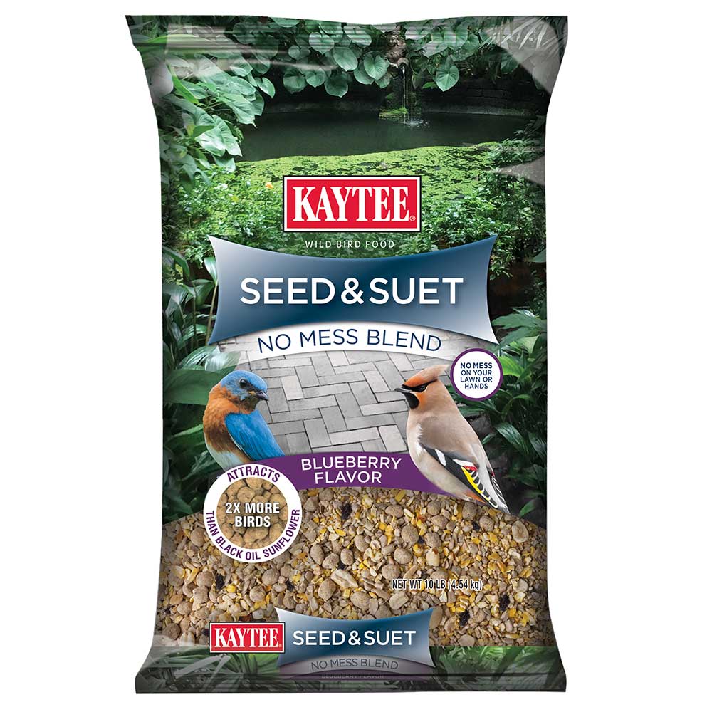 Seed & Suet No Mess Blueberry