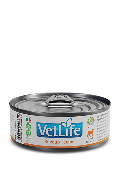 Recoup Wet Food Feline