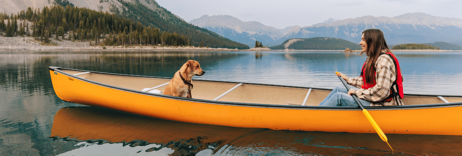 Turkey, Chicken & Herring Grain Free Dog Food