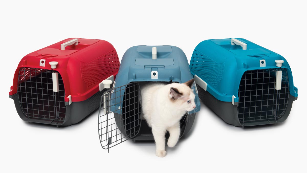 Transportín para Gato