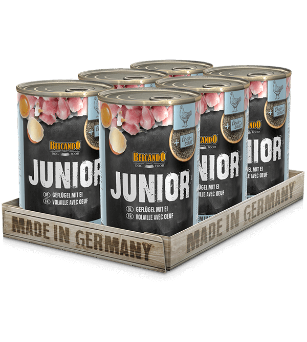 BELCANDO® JUNIOR AVE CON HUEVOS