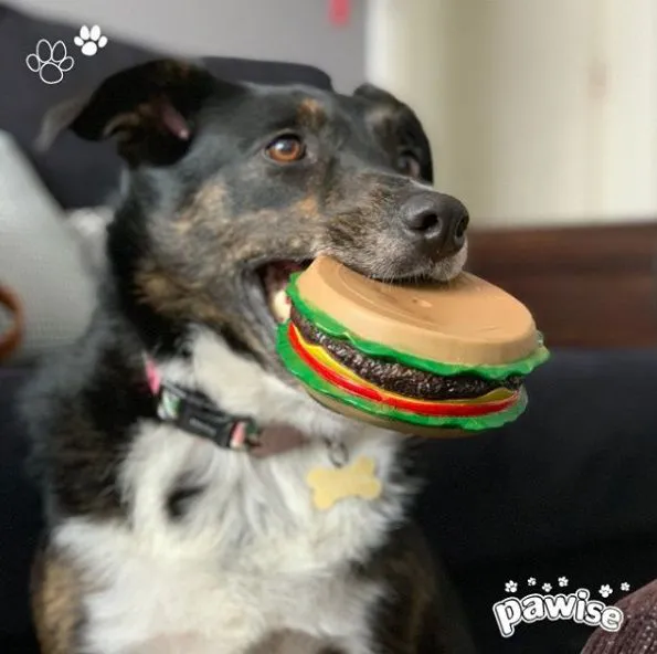 HAMBURGUER VINIL