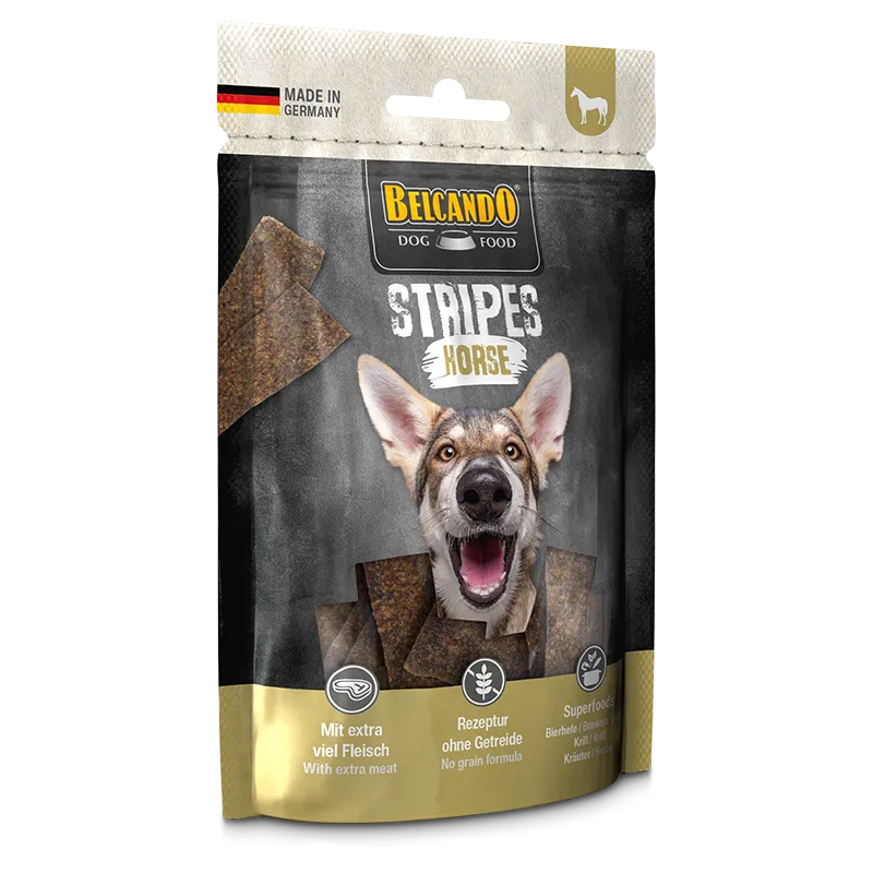 Stripes Horse