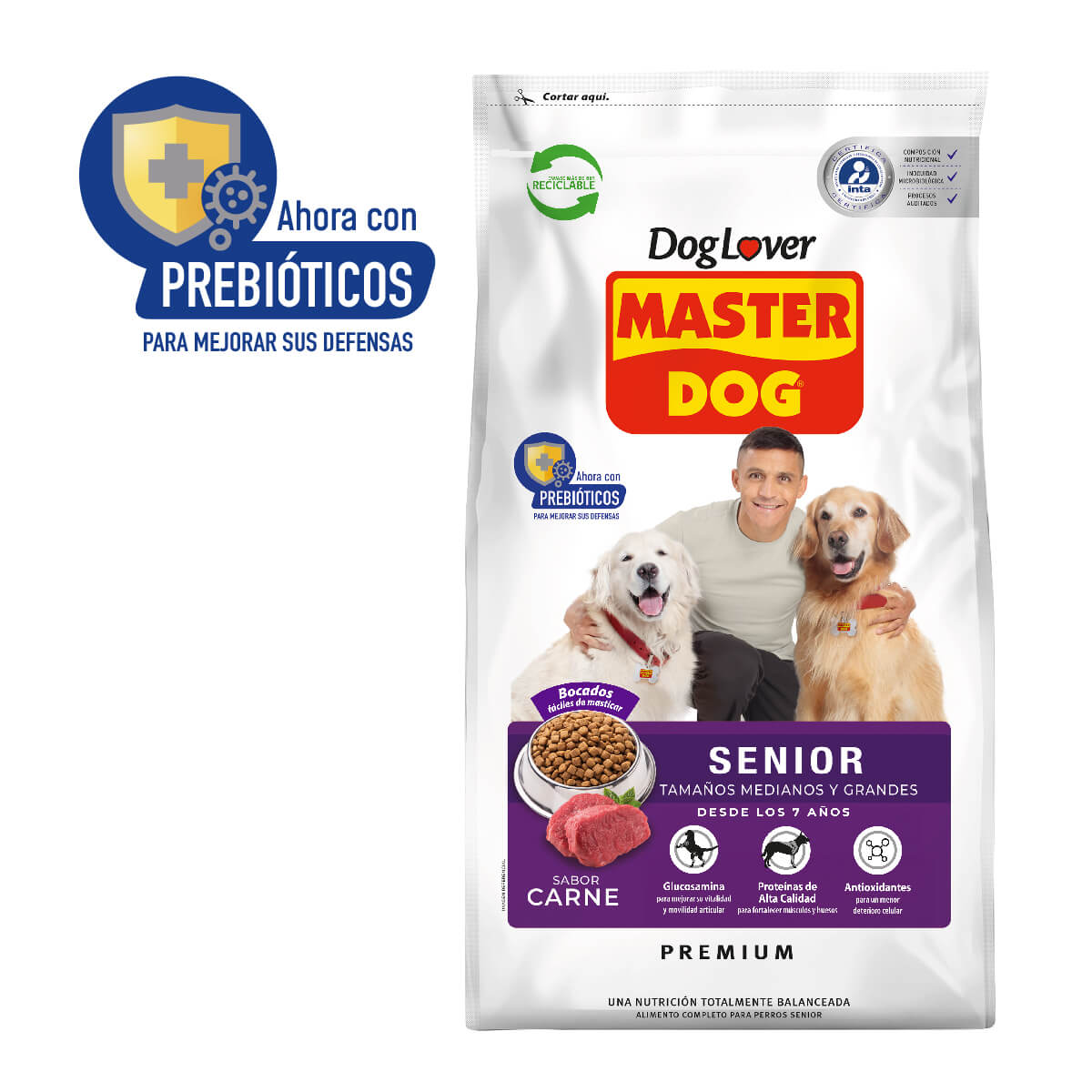 Master Dog senior