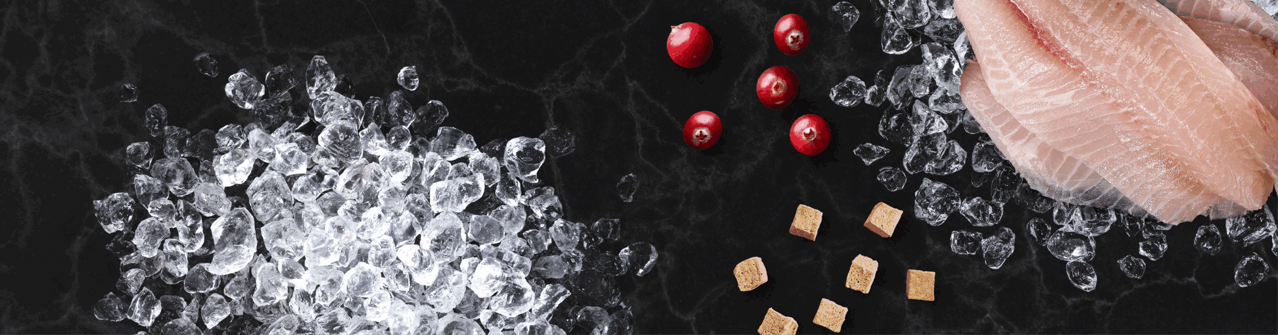 Freeze-Dried Raw Whitefish & Cranberry Cat Food