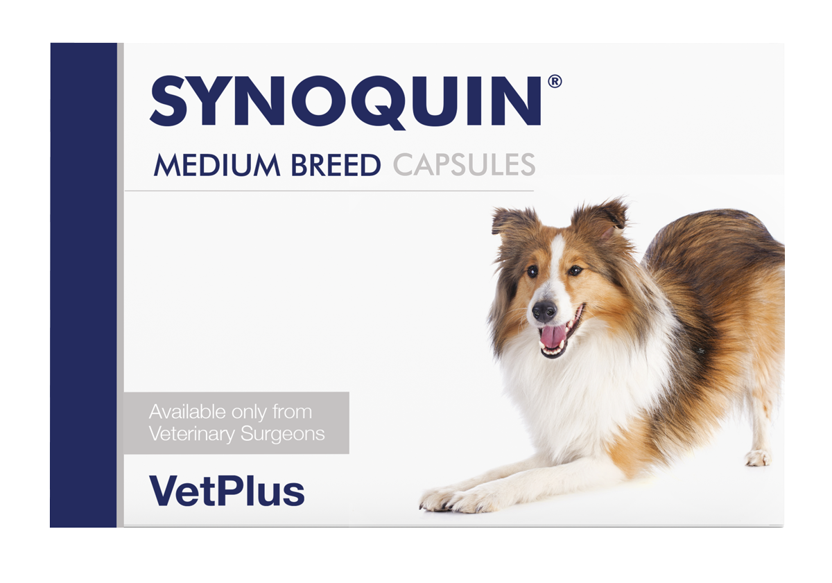 SYNOQUIN® MEDIUM BREED CAPSULES