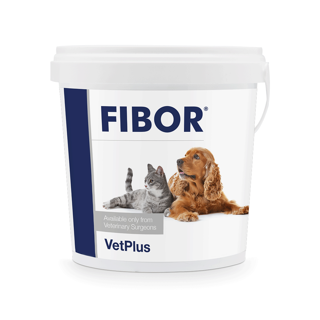FIBOR®