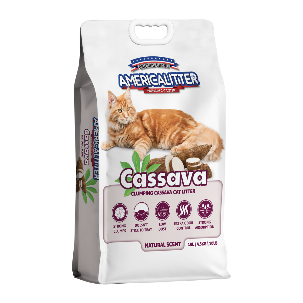 Cassava
